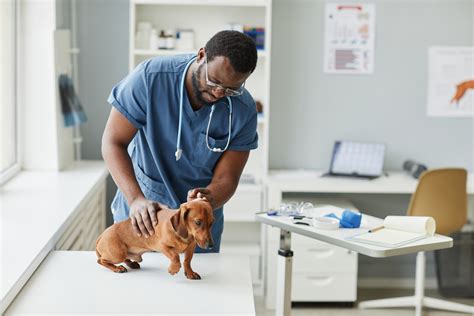 tpsg veterinary|veterinary practice sales group.